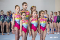 Соревнования по спортивной гимнастике, Фото: 107