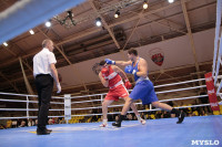 Финал турнира по боксу "Гран-при Тулы", Фото: 214