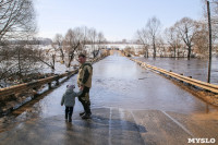 В Щекинском районе затопило мост, Фото: 19