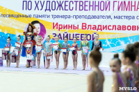 Тула провела крупный турнир по художественной гимнастике, Фото: 209
