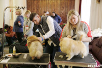 В Туле прошла Всероссийская выставка собак всех пород, Фото: 20