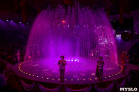 Шоу фонтанов «13 месяцев» в Тульском цирке – подарите себе и близким путевку в сказку!, Фото: 106