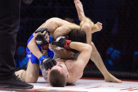 Битва за Тулу-2026, Фото: 172