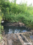 Туляки: «Неработающая канализация в ЖК «Скуратовский» уже 4 года льется в пруд», Фото: 4