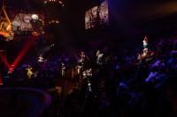 Новое грандиозное шоу Гии Эрадзе «Королевский цирк» стартует в Тульском цирке, Фото: 6