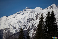 Состязания лыжников в Сочи., Фото: 64