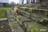 Храм Спаса Нерукотворного Образа, Фото: 34