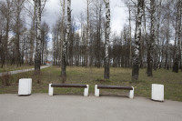 Закрытый Пролетарский парк, Фото: 50