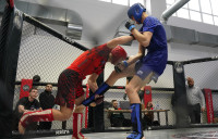 В Новомосковске прошел Чемпионат и Первенство Тульской области по ММА, Фото: 229