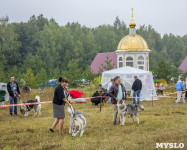 Международная выставка собак, Барсучок. 5.09.2015, Фото: 36