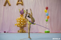 Соревнования по художественной гимнастике "Тульский сувенир", Фото: 93