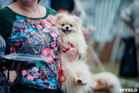 Всероссийская выставка собак в Туле, Фото: 60