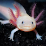 , Фото: 4