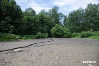Почему обмелел пруд в Рогожинском парке Тулы?, Фото: 11