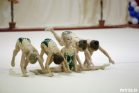 Соревнования по художественной гимнастике "Осенний вальс", Фото: 132