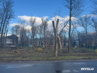 В сквере на улице Приупской вырубают тополя: в администрации рассказали, зачем, Фото: 1