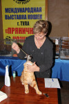 В Туле прошла международная выставка кошек, Фото: 67