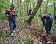 В лесу под Тулой поисковики нашли тайник с гранатами, Фото: 33