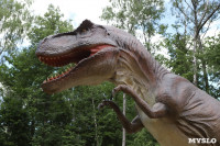 В Туле появился парк с интерактивными динозаврами, Фото: 4