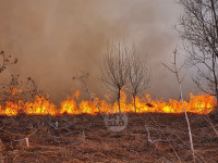 В Федоровке огонь с горящего поля едва не перекинулся на дома, Фото: 5