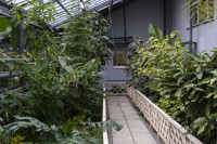  В тульской школе отремонтировали уникальную оранжерею с экзотическими растениями, Фото: 36