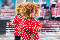 Новый год в Тульском цирке, Фото: 43