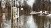 Затопленный Баташевский сад, Фото: 8