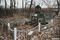 Кладбища Алексина зарастают мусором и деревьями, Фото: 53