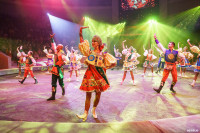 Шоу Гии Эрадзе «5 континентов» в Тульском цирке: феерия уже началась!, Фото: 100