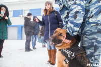 "Студенческий десант" - 2017., Фото: 60