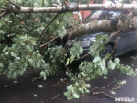 Дерево упало на авто, Фото: 4