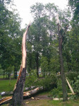Комсомольский парк после шторма, Фото: 12