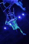 Aqua Show в Тульском цирке, Фото: 1