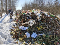 Под Тулой неизвестные сбросили в лесополосе несколько тонн гнилых овощей, Фото: 11