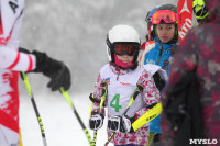 Соревнования по горнолыжному спорту в Малахово, Фото: 132