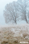 Ледяное утро в Центральном парке, Фото: 5