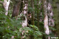 В лесу под Тулой поисковики нашли тайник с гранатами, Фото: 19