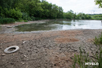 Почему обмелел пруд в Рогожинском парке Тулы?, Фото: 19