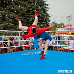 Турнир по боксу в Алексине, Фото: 27