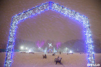Зимняя сказка в Центральном парке, Фото: 9