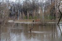 В Туле затопило Баташевский сад, Фото: 46