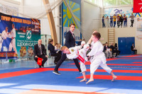 В Щекино прошел крупный турнир по каратэ, Фото: 4