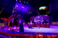 Цирковое шоу 5 континентов , Фото: 50