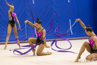 В Туле стартовало первенство Центрального федерального округа по художественной гимнастике, Фото: 90
