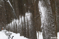 Туляки катаются на лыжах в Центральном парке, Фото: 16