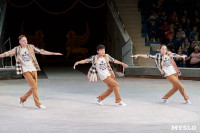 Губернаторская ёлка в Тульском цирке, Фото: 17