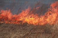 Возгорание сухой травы напротив ТЦ "Метро", 7.04.2014, Фото: 28