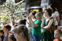 Иммерсивный спектакль Мюсли, Фото: 19