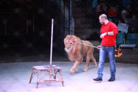 Новая программа в Тульском цирке «Нильские львы». 12 марта 2014, Фото: 16