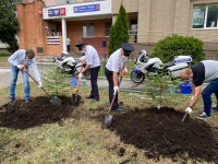 В Туле посадили еловую аллею в честь 85-летию со дня образования ГАИ-ГИБДД, Фото: 21